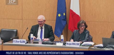 Olivier Falorni et Agnès Firmin Le Bodo, Commission spéciale Fin de vie - 25 avril 2024